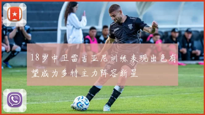 18岁中卫雷吉亚尼训练表现出色有望成为多特主力阵容新星
