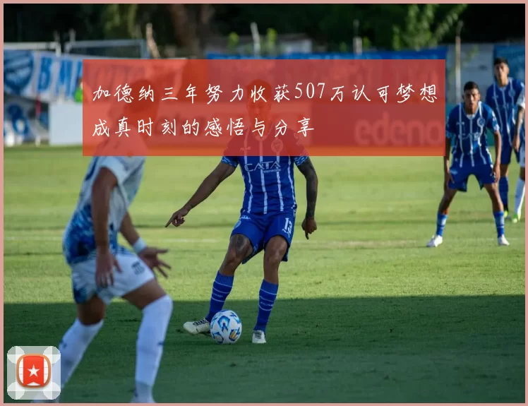 加德纳三年努力收获507万认可梦想成真时刻的感悟与分享