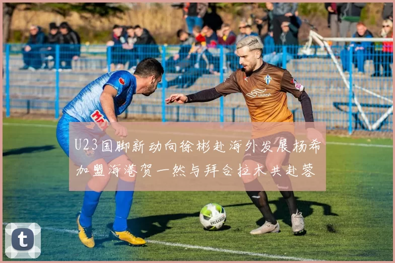 U23国脚新动向徐彬赴海外发展杨希加盟海港贺一然与拜合拉木共赴蓉城